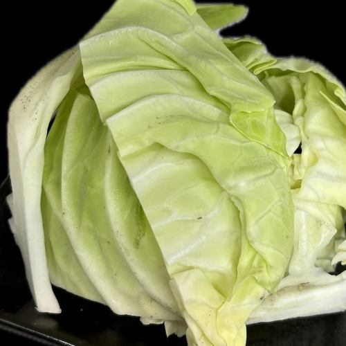 キャベツ