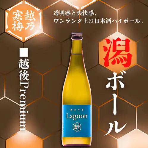 潟ボール
