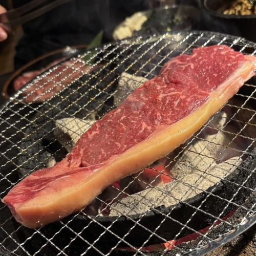 本日の山口放牧牛