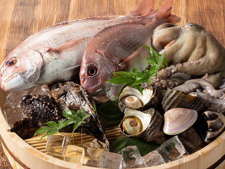 【旬を味わう季節の海鮮】近海より仕入れる『魚』