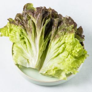 상추