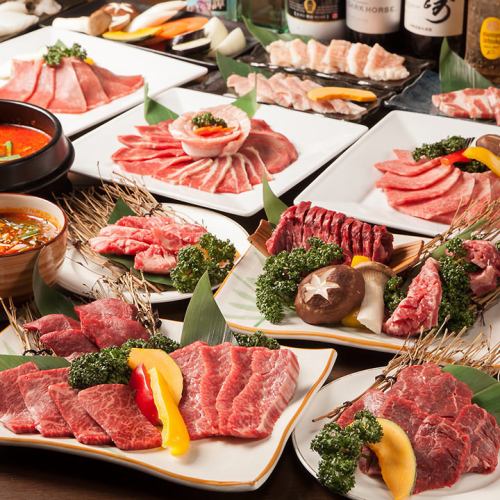 [All-you-can-eat and drink!] Premium All-you-can-eat and drink course with over 90 dishes for 3,580 yen for 90 minutes