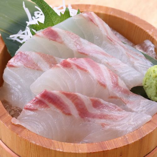 [Classic] Red sea bream sashimi