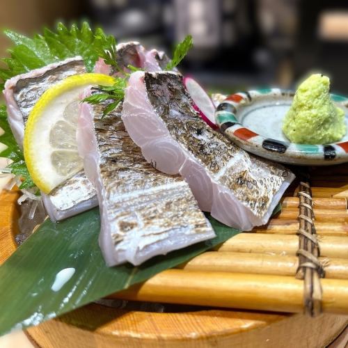 太刀魚炙り造り