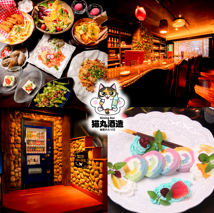 猫たちだけが知る秘密のパーティー♪絶品創作料理＆豊富なドリンクをご堪能ください。