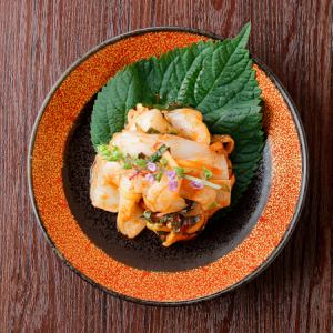 イカフェ