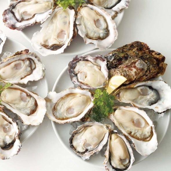 Top 2 most popular !! [Raw oysters procured from all over the country]