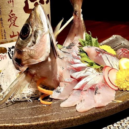 Seki horse mackerel sashimi "Prefectural brand fish"