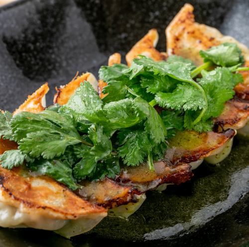 パクチー餃子(6個)