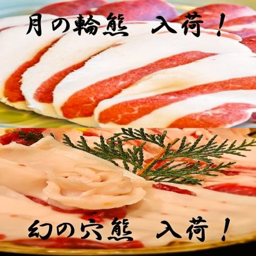 【鮮度抜群！】日ごとにおすすめのメニュー各種