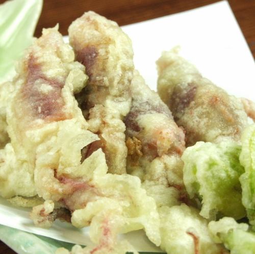 Boiled new firefly squid tempura from Toyama Bay