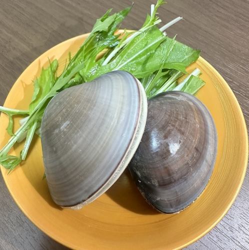 ・はまぐり大（1個）