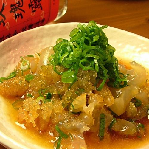 クラゲのネギまみれ／うんばいるー