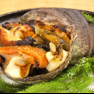 Fresh turban shell sashimi