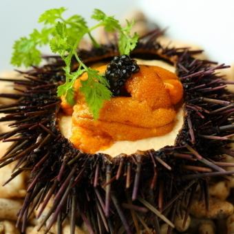 【ディナー】~スタンダードコース~旬の生牡蠣食べ比べ！名物雲丹のプリンなど贅沢魚介尽くし！