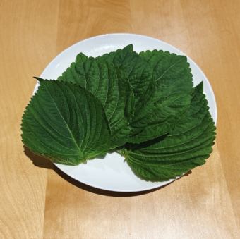 ゴマの葉 [5枚]