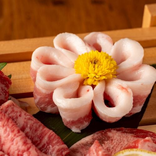 那須桜牛シンタマ(トモ三角、カメノコ、マルカワ)