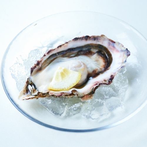 "Raw oysters