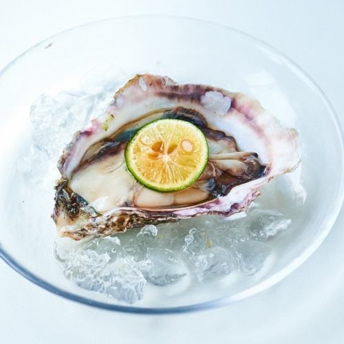 Oyster cocktail with pickled oysters and sudachi