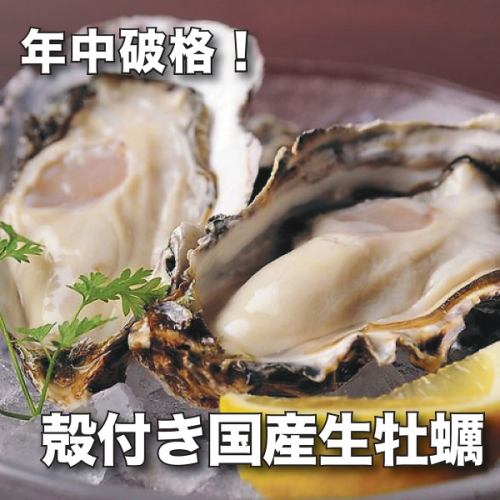 Enjoy fresh raw oysters all year round