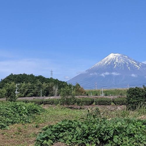 食材へのこだわり