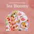 Afternoon Flower Lounge 「Tea Bloomy」