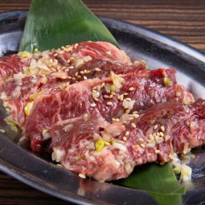 Freshly sliced top skirt steak with green onion and salt