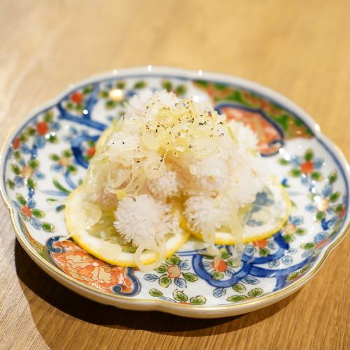 Salted lemon ulte sashimi