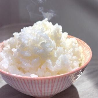 羽釜で炊いたごはん 小