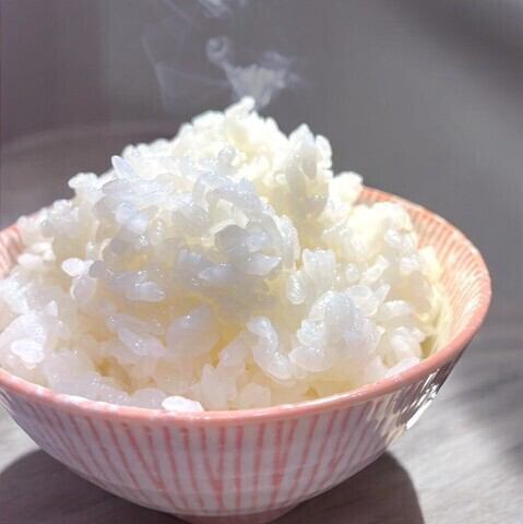 羽釜で炊いたごはん 小