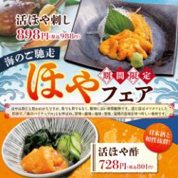 [Limited Time Offer] Sea Squirt Fair