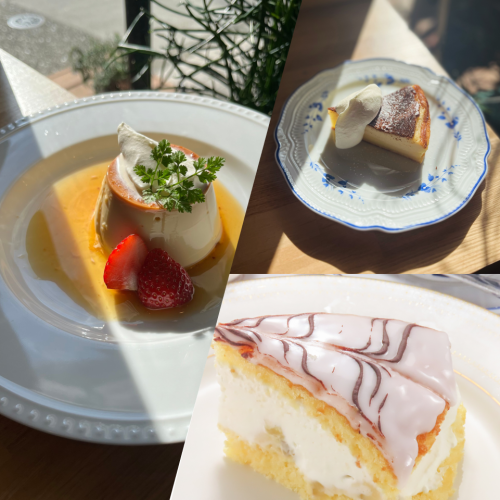 【ランチ&ケーキセット】