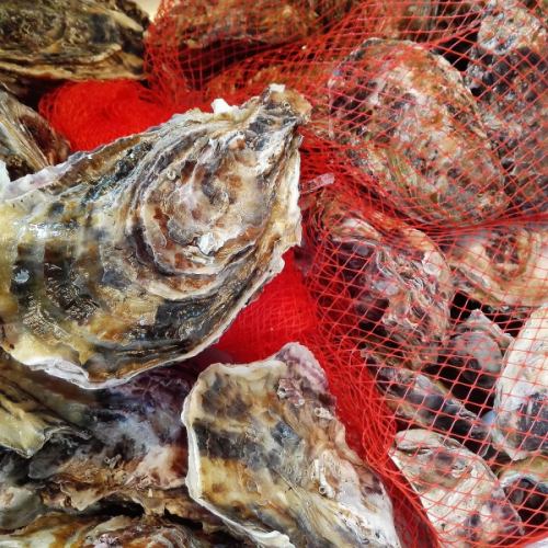 Offer fresh oysters ordered from all over Japan