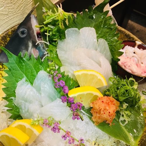 Ikekawa Hagi sashimi