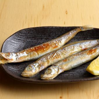 Shishamo with children (3)