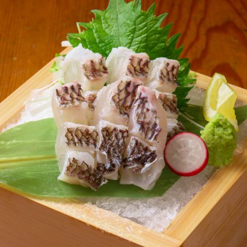 瀬戸内産真鯛/シマアジ