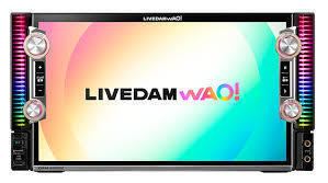 機種／LIVE DAM WAO!