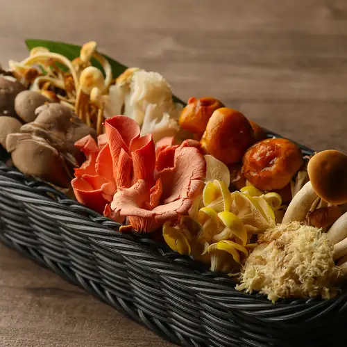 什锦蘑菇
