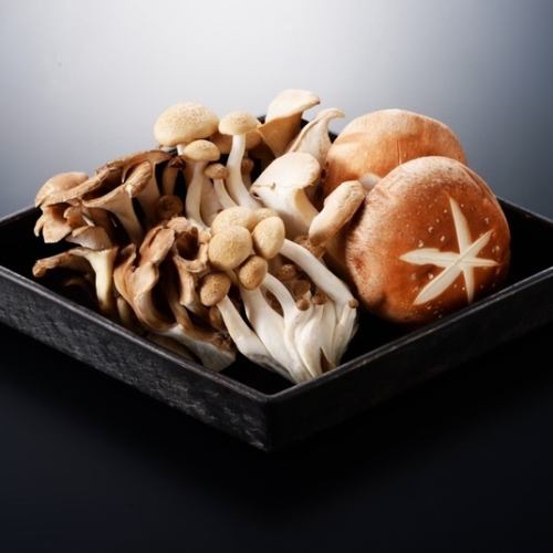 什錦蘑菇