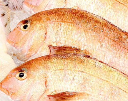 2h 음료 뷔페 첨부《도미의 샤브샤브 코스》선어 엄선 5점성을 포함한 전 8품 7000엔