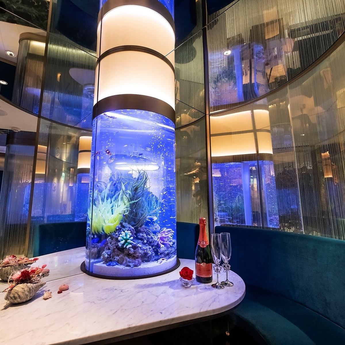 Fish migrating beautifully in the aquarium create a fantastic and romantic space