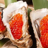 【仅限秋冬季】派对佳选:“终极时令鱼类和水炊套餐” - 7 道菜,含 2.5 小时畅饮 - 7,000 日元 ⇒ 6,000 日元(含税)