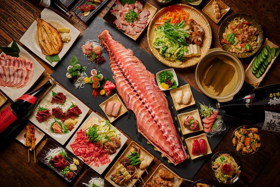 Shiritori Shoten, an authentic izakaya where you can enjoy yakitori and freshly caught seafood, has opened in Fujisawa!