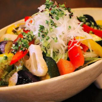 15 Vegetable Salad ~Tomato & Onion Dre~