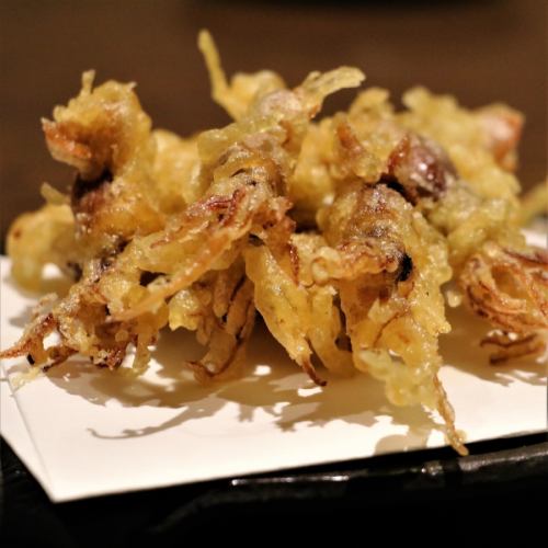 Hotaru squid tempura