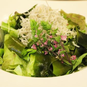 Whitebait and wakame salad