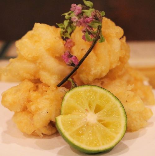 鱈の白子天麩羅