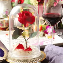 11月末で終了【ディナー】「2時間飲み放題／プレゼント付きフレンチコース」