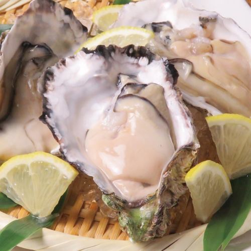 Today's special raw oysters (1 piece) ~ with ponzu sauce ~