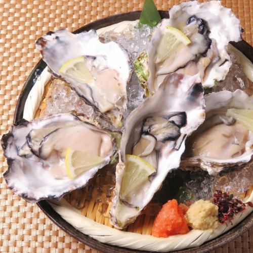 Today's special raw oysters (5 pieces) ~ with ponzu sauce ~
